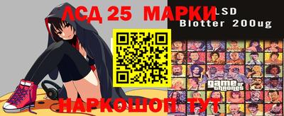 стаф Можга
