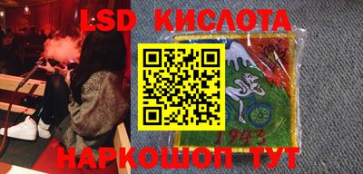 стаф Можга