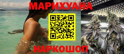 стаф Можга
