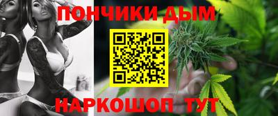 стаф Можга