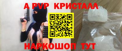 стаф Можга