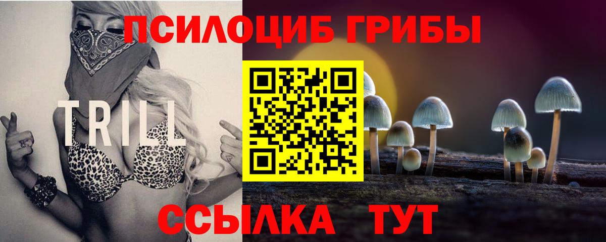 Ухта  Галлюциногенные грибы мицелий  Вход с VPN 